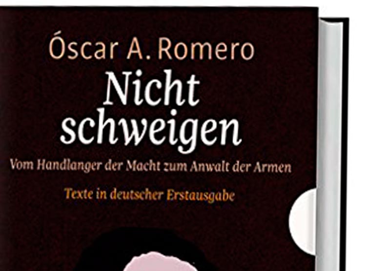 Buchcover (Ausschnitt)