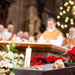 Stephanifest / Erzdiözese Wien/Schönlaub, Stephan Schönlaub