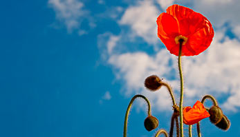 Sommer, Sonne, Seelsorge