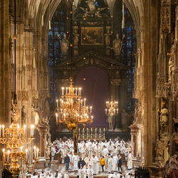 Chrisammesse 2025 / Erzdiözese Wien/ Schönlaub, Stephan Schönlaub